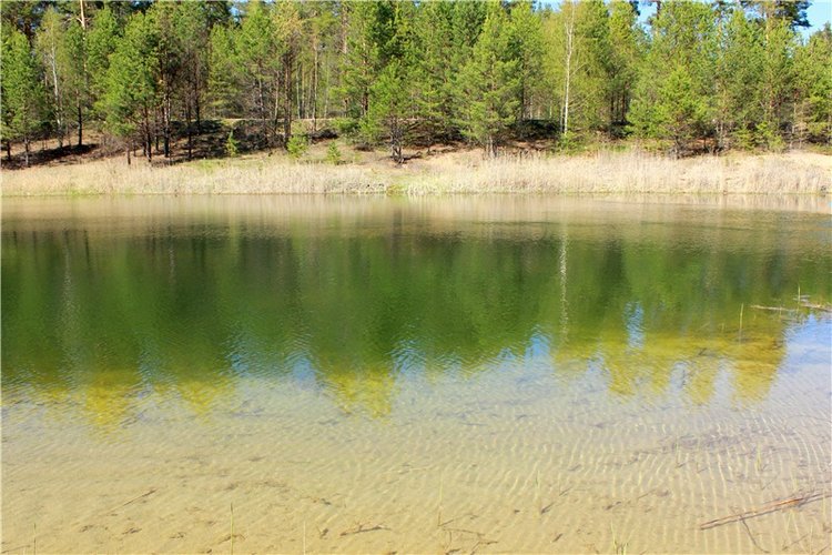 Долгая дорога к Волге. Custom Blythe Doll UFO Go Go Takara (фото 10)