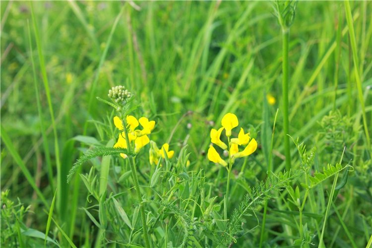 Путешествие Эли на красивый берег реки Волги