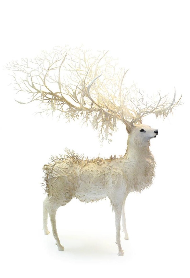 EllenJewettPrintShop - "Сюрреалистическая естественная история" by Ellen Jewett