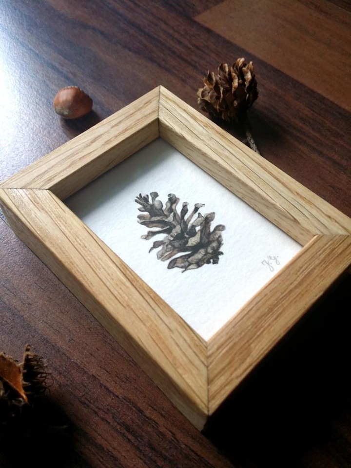 SnailMaidenStudio - Акварельные иллюстрации маленьких живых существ