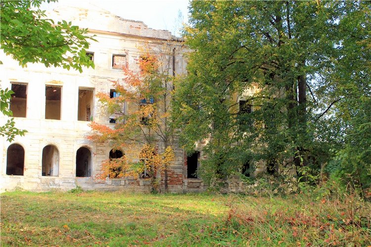 Путешествие Dal Hangry в Грузины, продолжение (фото 3)