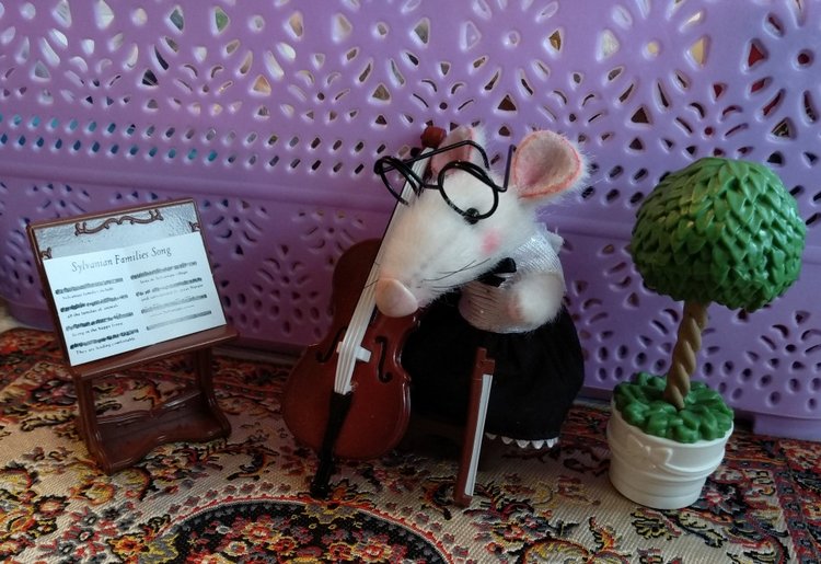 Когда не понятно Он или Она (фото 6)