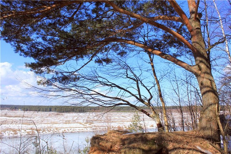 Весна в "Саду Камней" | Бэйбики Весна в "Саду Камней" — Куклы Meadow dolls (Медовушки): BJD (БЖД)