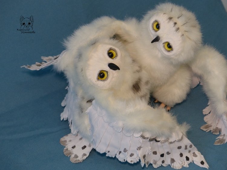 Полярные совы. Стремящиеся в полет