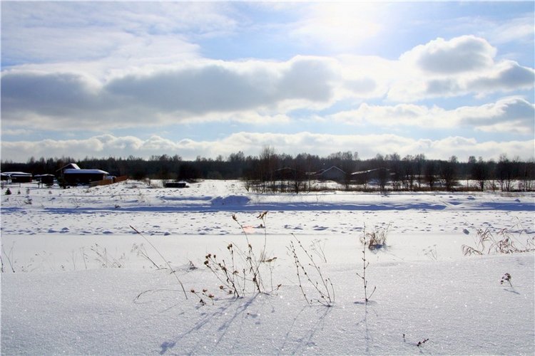 Зимняя прогулка Сони. Уникальная кукла от Сильвии Наттерер (фото 4)