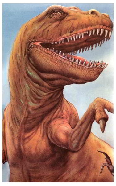 Милая сердцу Божедомка. Ч.5. Выставка "Парк янтарного периода". "Слезы Гелиад". "Янтарь и куклы"