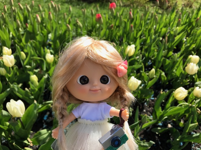 Как мы фотографировали улитку с Mui-chan (фото 3)