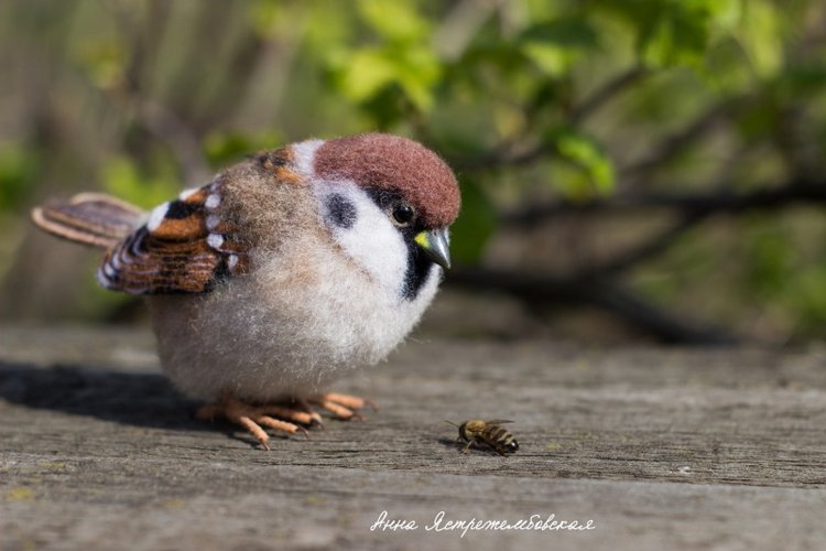 Воробушки — Валяные игрушки из шерсти: сухое валяние