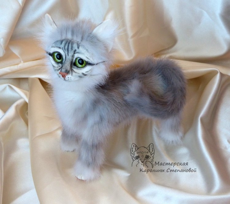 Зеленоглазый котик маскарадик
