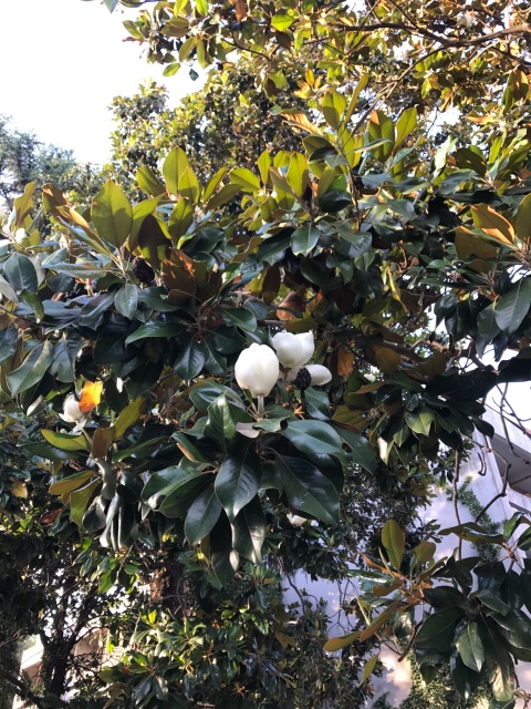 Таша Wonderfrog в Черногории