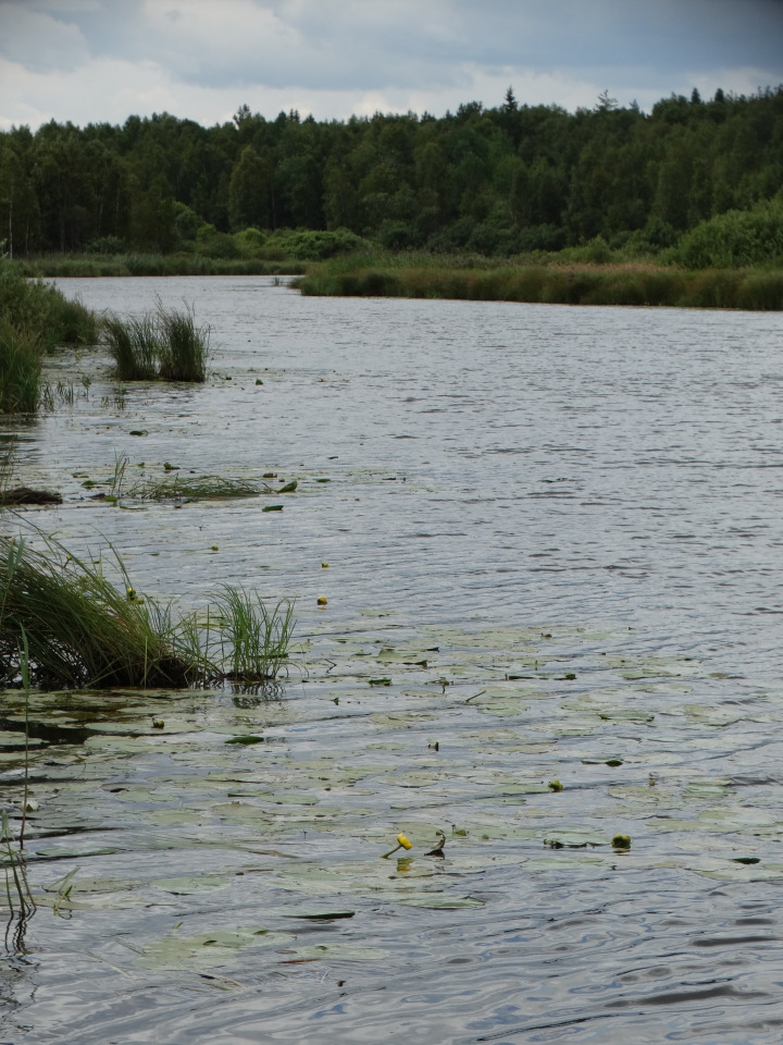 Каменный остров. Поездка с БЖД куколкой от Лиликэт