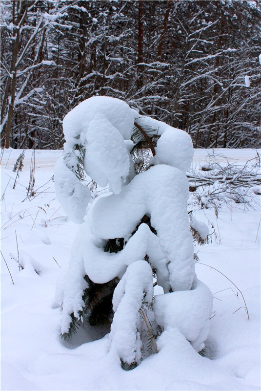 Рождественские гуляния, часть первая. Zwergnase Mischa (фото 5)