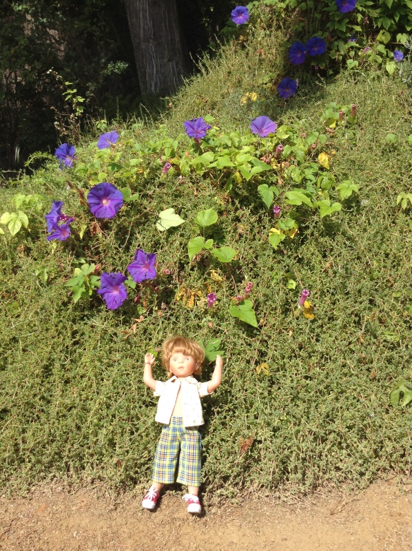 Путешествие Минуш в Испанию. Каталония. Ч.3. Райские сады