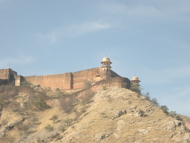 Сказочная Индия — Туризм и путешествия: фотоотчеты из поездок (фото 5)