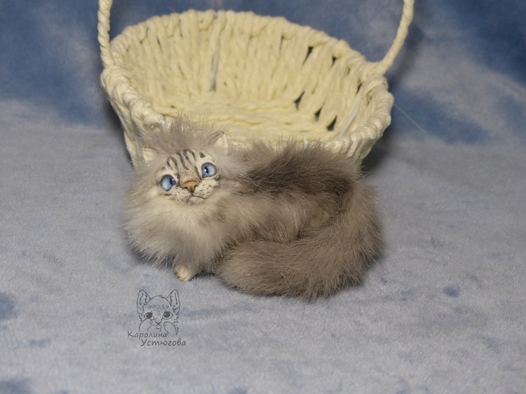 Котята Невские маскарадные, окрас Тэбби пойнт