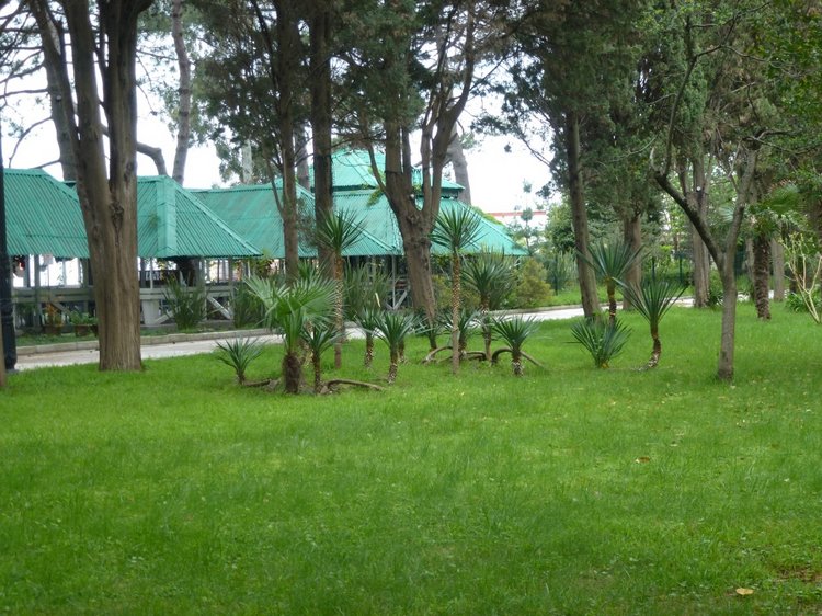 Сочи-Адлер: Южное Взморье - виртуальное путешествие по территории санатория