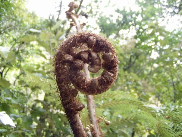 Увлекательное путешествие по Новой Зеландии
