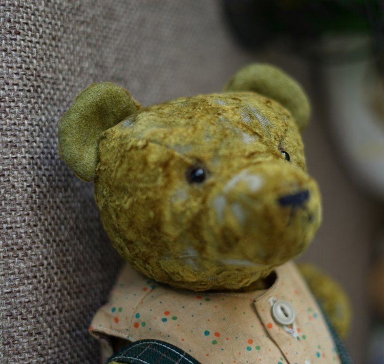 Три медведя . Оливер — Другие хобби и увлечения: сад