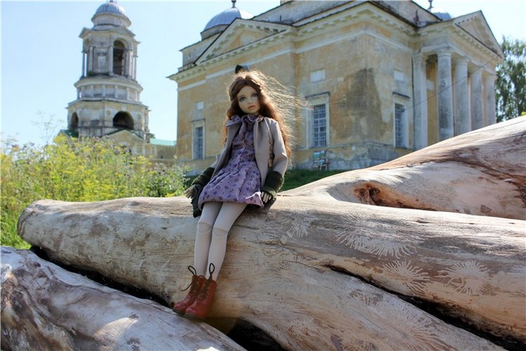 Подарок для Бенни | Бэйбики Подарок для Бенни — Куклы Iplehouse (Иплхаус): BJD (БЖД)