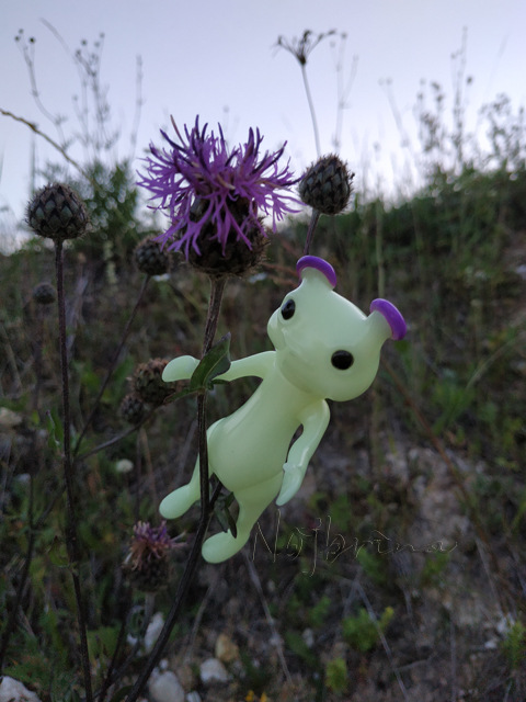 Wonderfrog. Красота в простоте