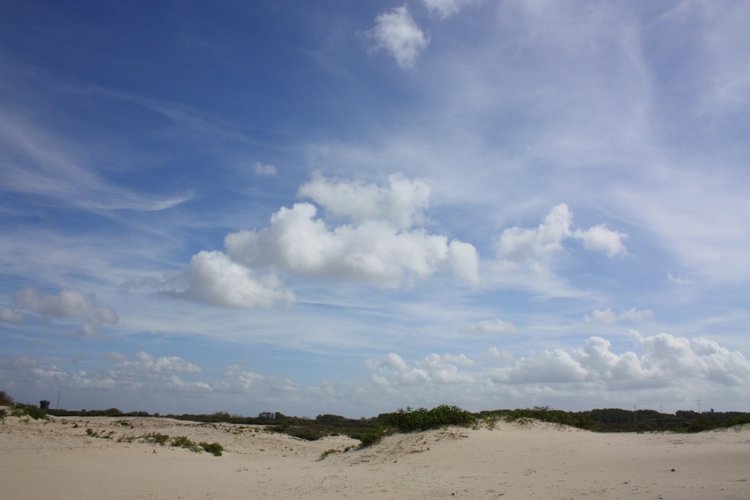 Мисс Бэйбики 2019. Ночная фотосессия в купальнике - часть первая | Бэйбики Мисс Бэйбики 2019. Ночная фотосессия в купальнике - часть первая