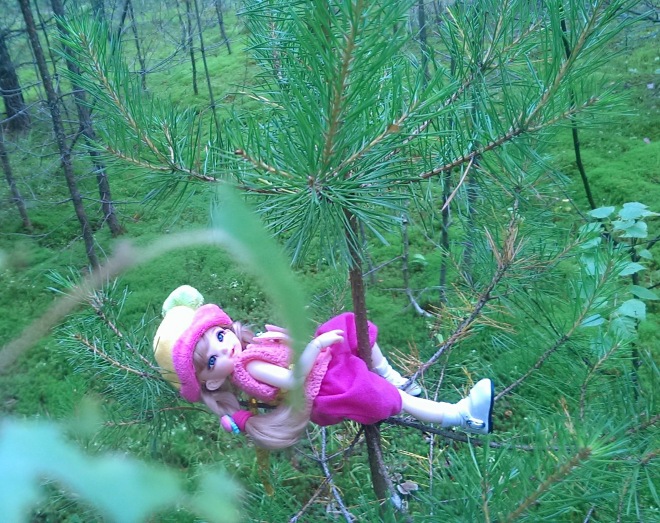 Лесные приключения... Волшебство, сосны, грибы, полетаем)