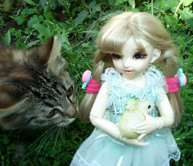 Кролики превращаются... превращаются... А котик улыбается) (фото 2)