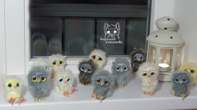 Совята в ожидании Новогодних праздников