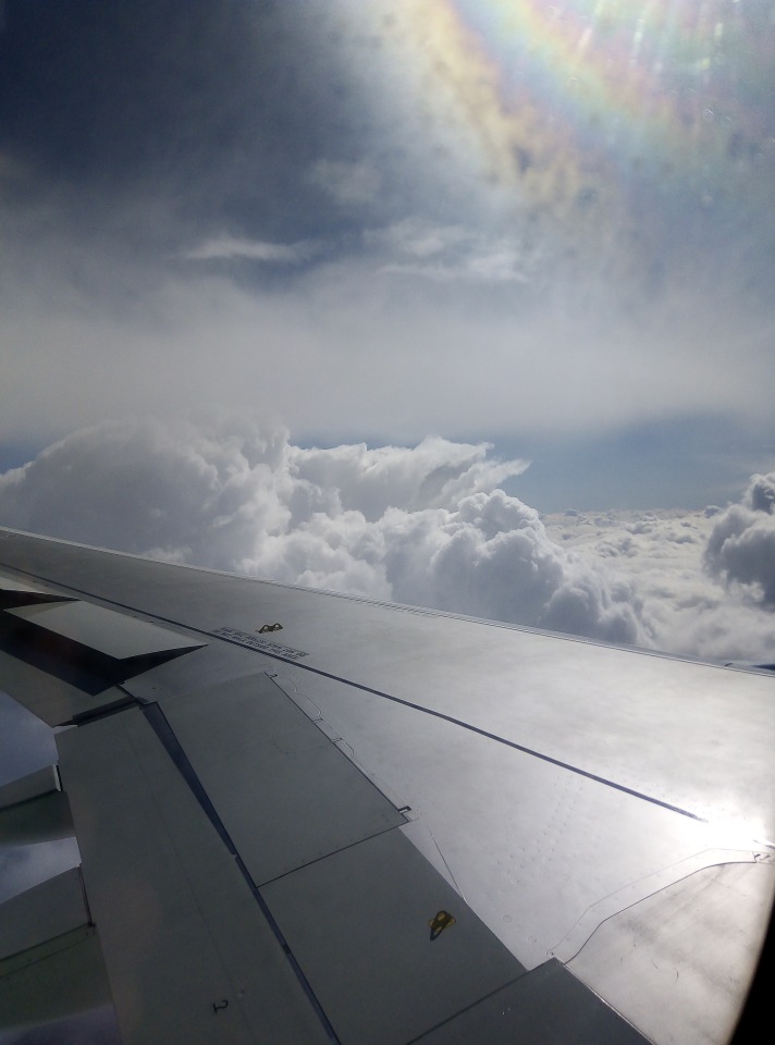 До пандемии. Путешествие по Италии, часть 1 (Кьянти, Сиена) (фото 2)