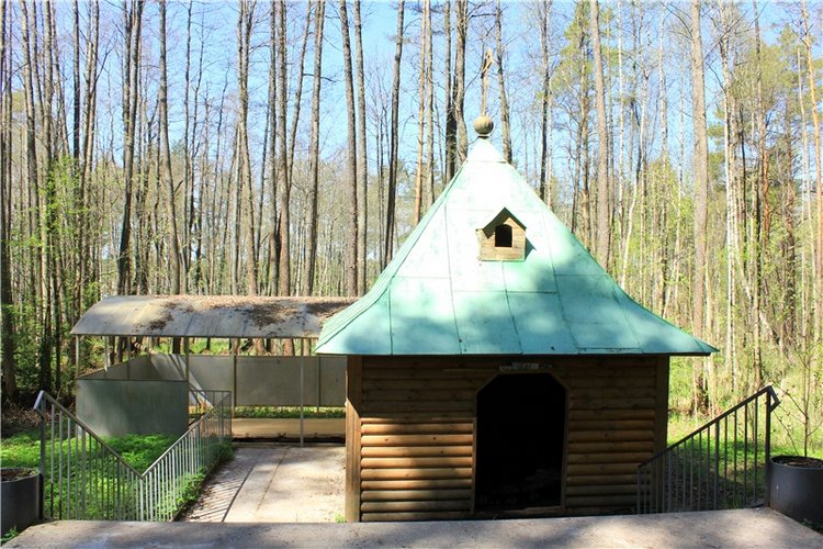 Путешествие Софи в Старицу. Lati HoneyBee New Mystic Sophie (фото 2)