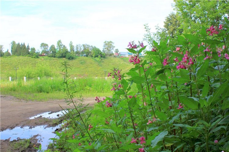 Июльское путешествие в Старицу, продолжение