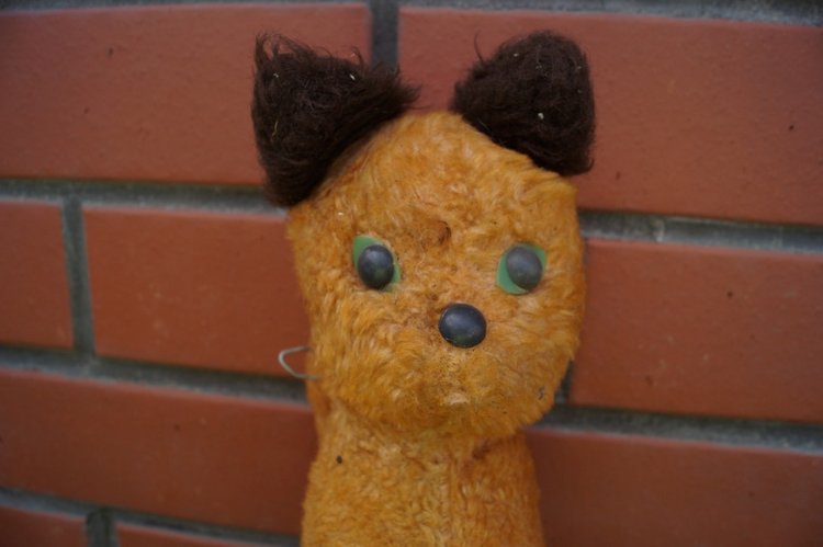 Куколки здоровы - пора выписываться