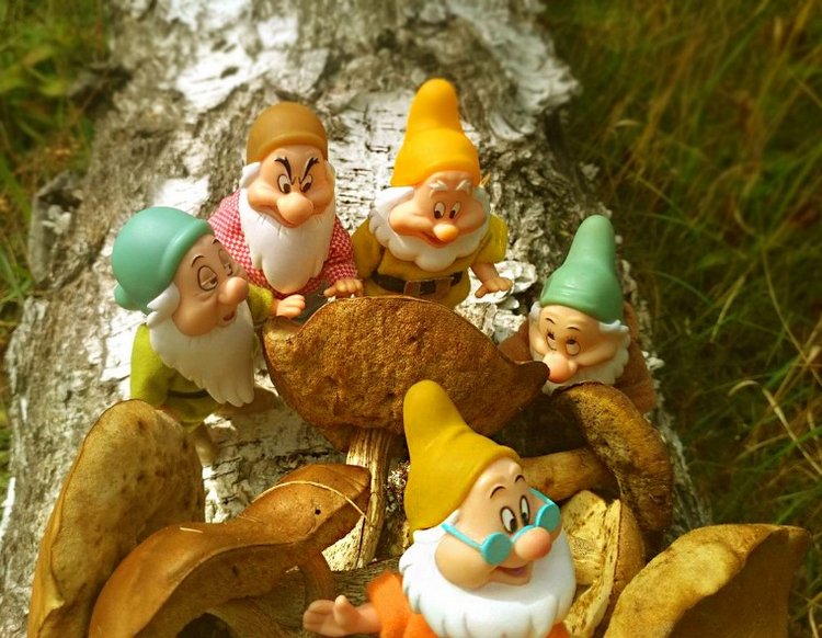 Осеннею порой под старою сосной... Принц, Белоснежка и гномы... встречаются