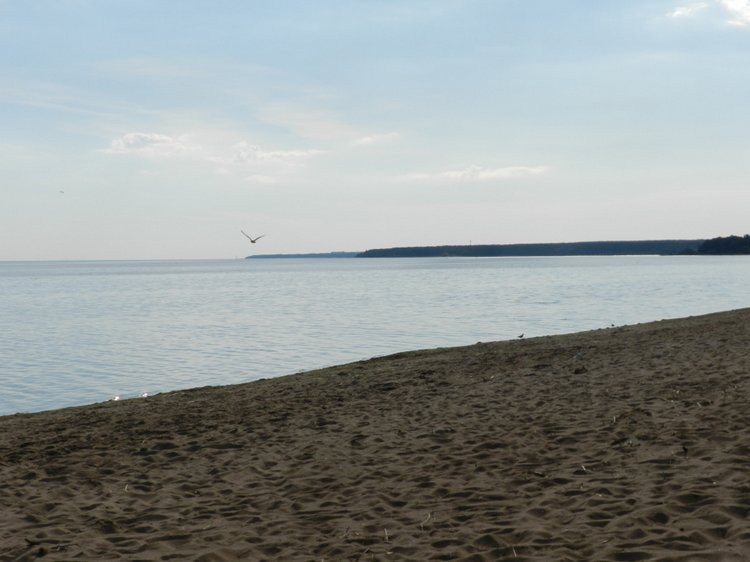 Немного позитива с Финского залива