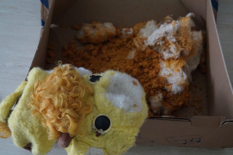 А по субботам у нас выписка! Ещё один Хрюша