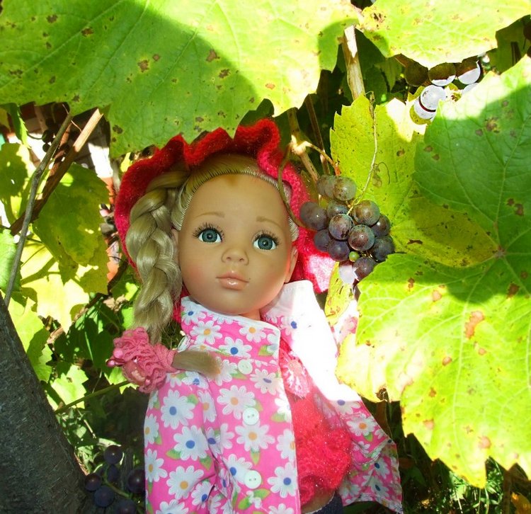 Линка и Иришка - сборщицы винограда | Бэйбики Линка и Иришка - сборщицы винограда