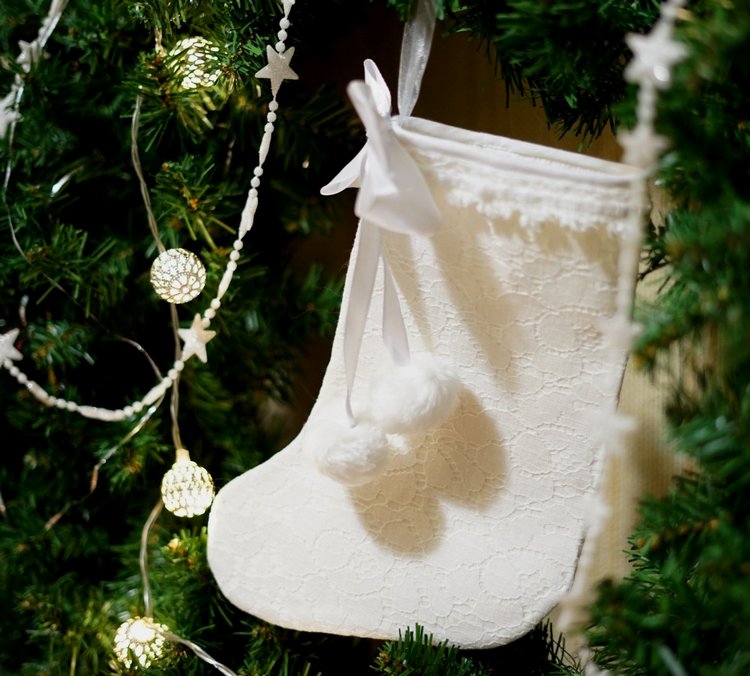 Новогодний сапожок — Другие хобби и увлечения: сад