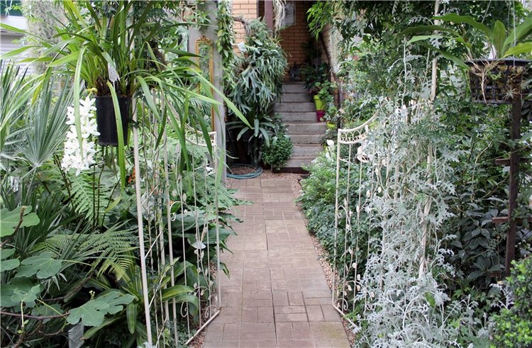 Тверской Ботанический Сад, продолжение | Бэйбики Тверской Ботанический Сад, продолжение