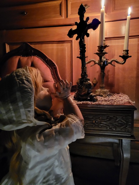 Рождественский вечер маленькой девочки (фото 8)