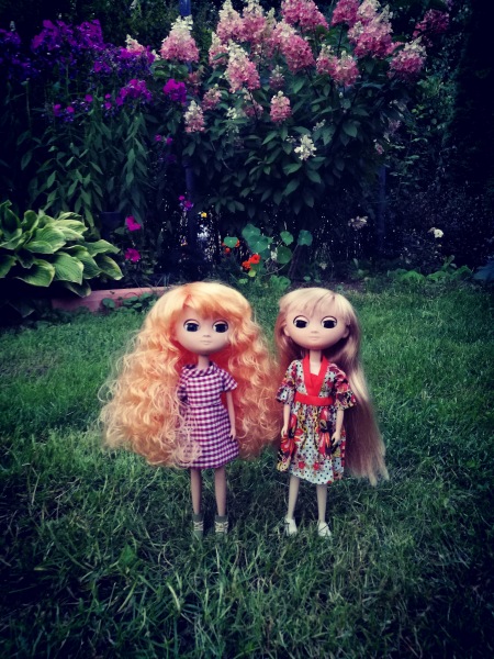 Неподражаемые Муф — Азиатские виниловые куклы (разное): Китай