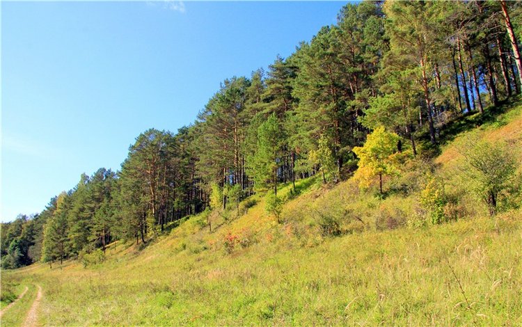 Старицкая Швейцария. Старицкие пещеры, д. Толпино, заключительная часть