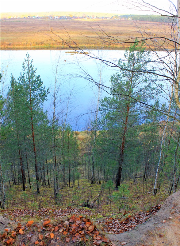 Ромашковый октябрь. Zwergnase Mischa