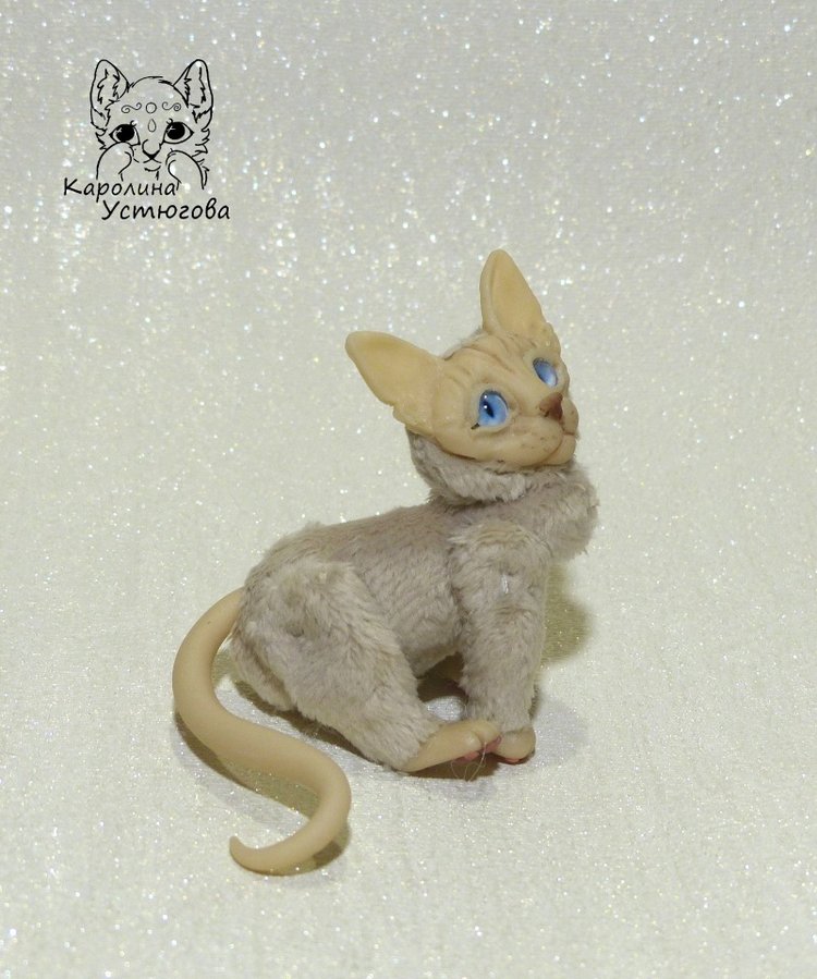 Два миниатюрных котика Сфинкса
