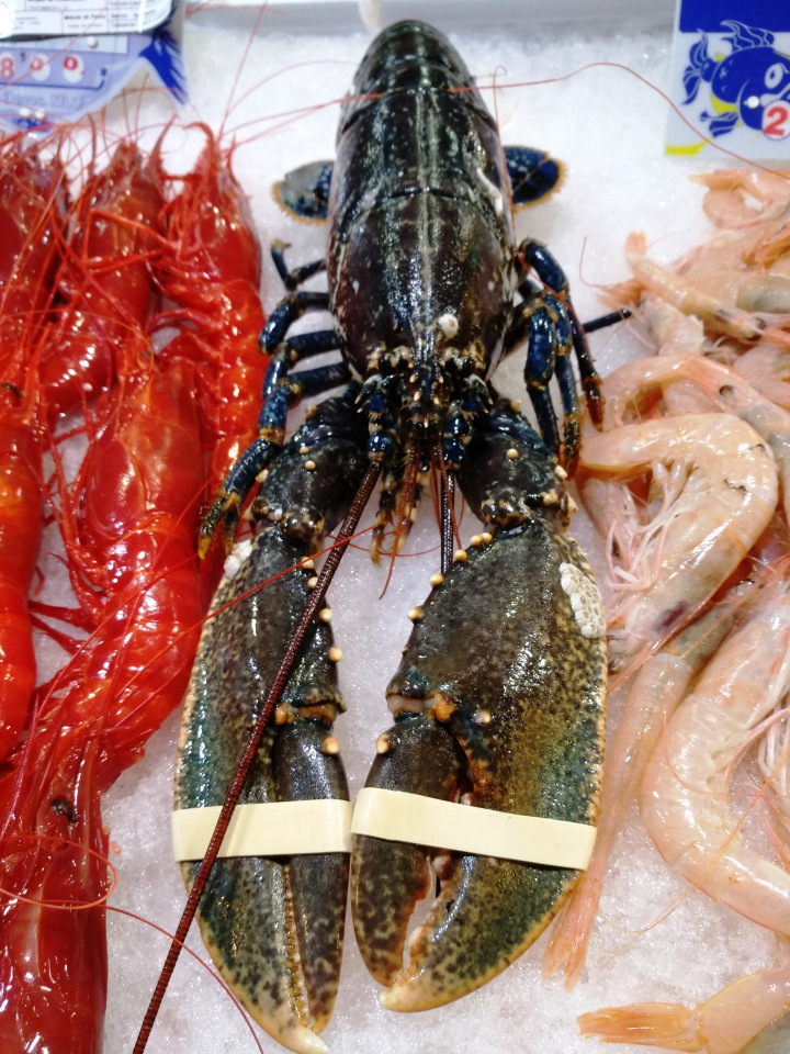 Тайна моего имени. Часть седьмая. Испания, Малага. Первые восторги и разочарования (фото 5)