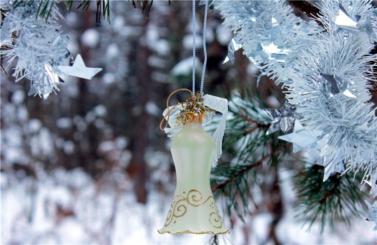 Рождественские гуляния, часть первая. Zwergnase Mischa (фото 7)