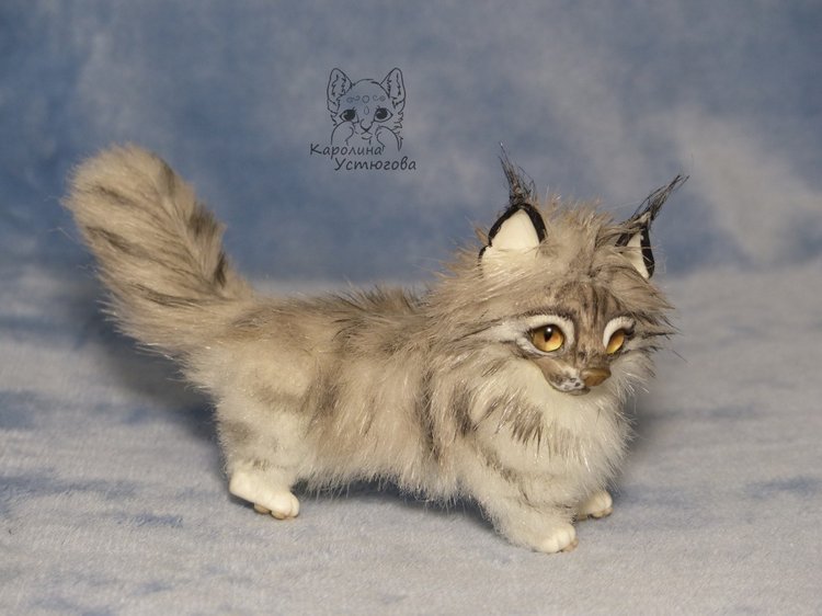 Мейн-ку́н, миниатюра. Серебристый окрас