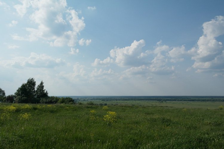 Есенинские тропинки — Куклы Kidz'n'Cats (Соня Хартман): шарнирные 46 см (фото 3)