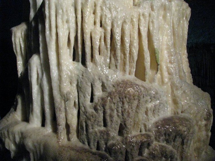 Незабываемая экскурсия по Словении: Постойная Яма и Предъямский замок (фото 7)