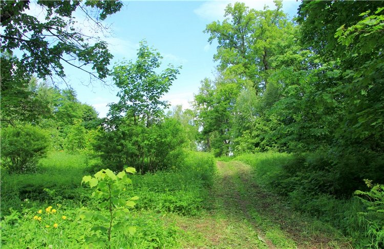 "Троицкие гуляния" в Василёво, 2018 год. Архитектурно-этнографический музей под открытым небом Василёво