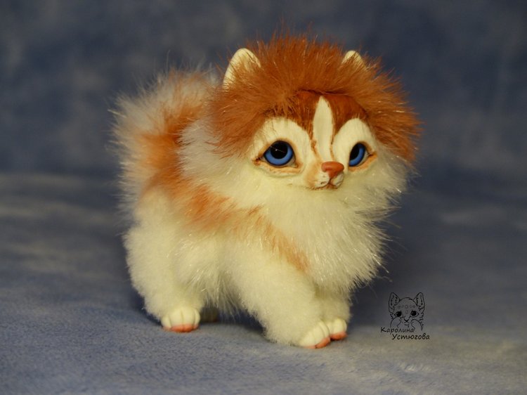 Щенок Хаски, миниатюра. Медный Окрас (фото 3)